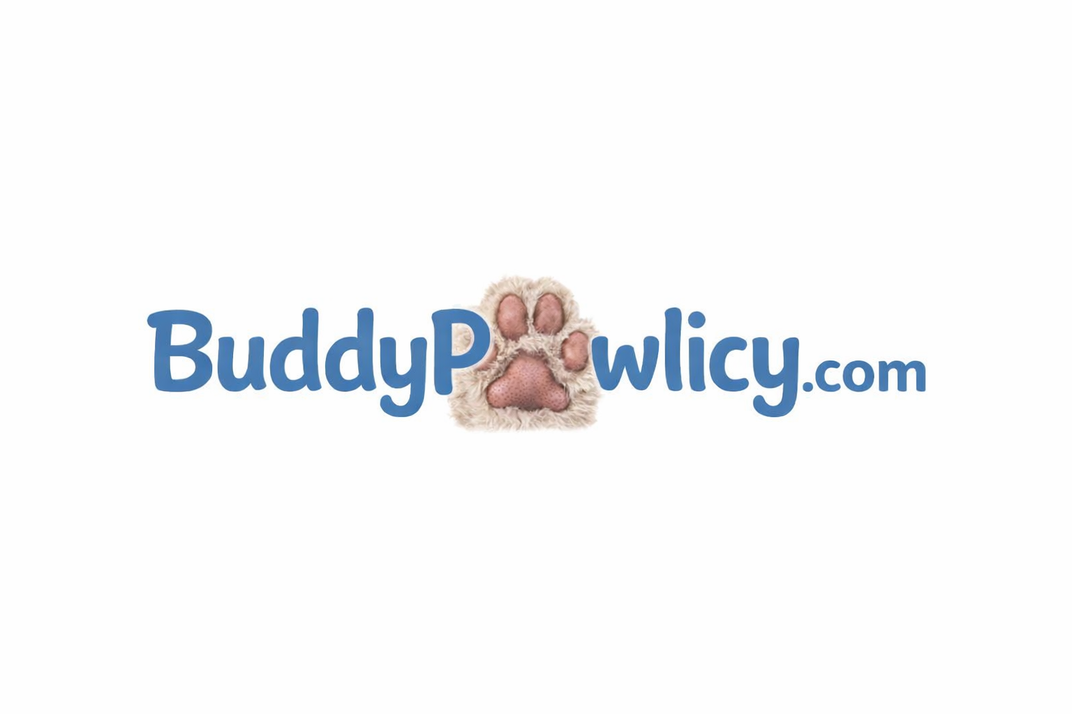 BuddyPawlicy.com logo